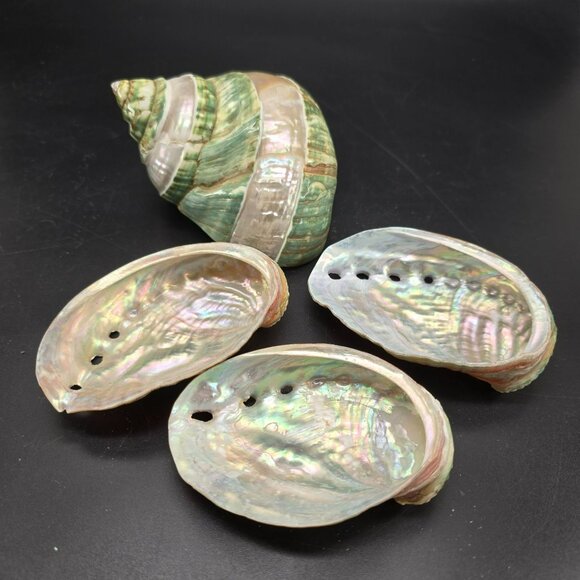 Natural Polished Green Jade Turbo & Abalone Shells Decorative Display DH1361 - Picture 3 of 5